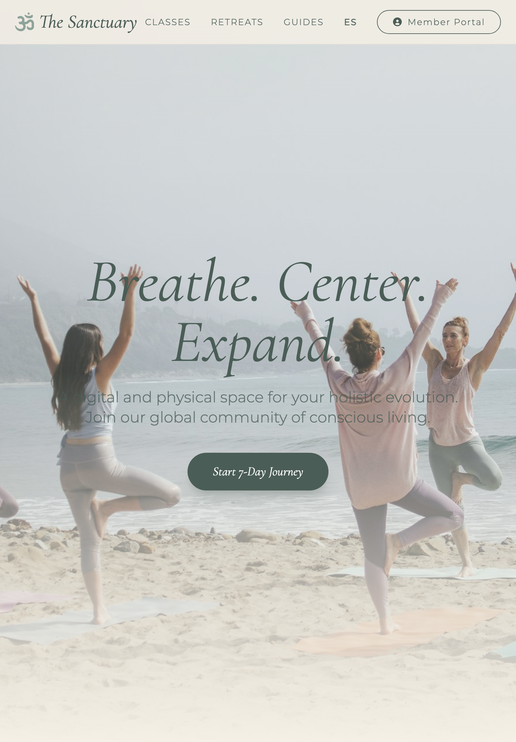 Health Wellness iPad