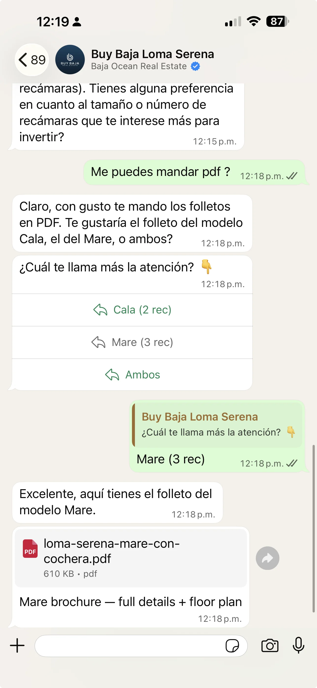 Loma Serena WhatsApp AI sending brochure